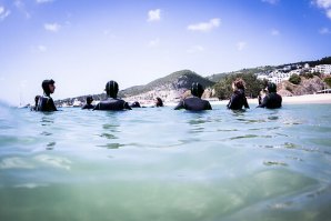 Programa inovador de educação ecológica subaquática em Portugal