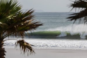 OS MELHORES MOMENTOS DE SURF DO CAPÍTULO PERFEITO 2020