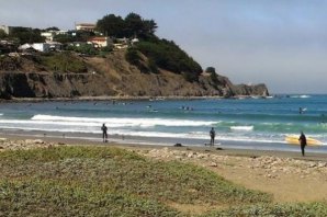 GRUPO DE SURFISTAS NA CALIFÓRNIA RELATA ENCONTRO COM UM TUBARÃO BRANCO