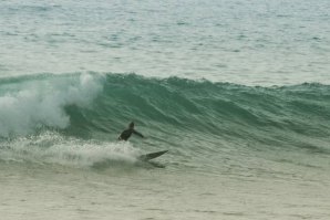 SURFISTAS LUSAS TERMINAM A SUA PRESTAÇÃO NO SYDNEY SURF PRO