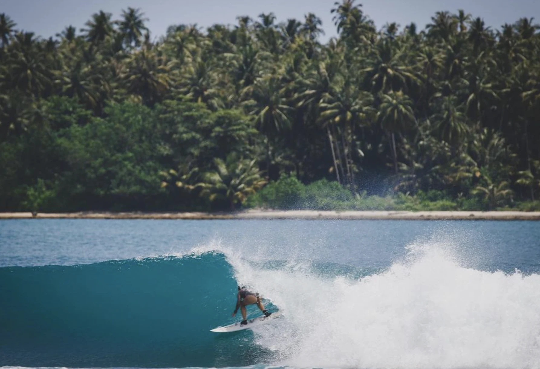 Un surfista italiano ha muerto en Mentawai tras ser alcanzado por un pez espada