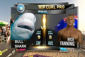 Fanning e o tubarão: a internet reagiu assim