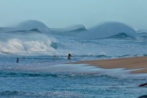 BACKDOOR SHOOTOUT EM HONRA DO PIONEIRO DO SURF MUNDIAL