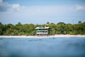 WSL G-Land Surf e Floresta - Mas já não há Tigres em G Land