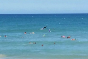 FOTÓGRAFA AUSTRALIANA CAPTA SALTO DE TUBARÃO DURANTE UMA COMPETIÇÃO