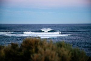 Willow Hardy, Jacob Willcox e Cyrus Cox conquistam wildcards para o Margaret River Pro