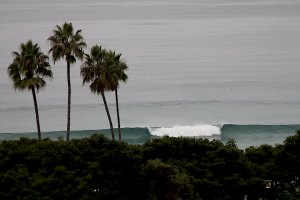 Ben Gravy regressa no Califórnia para uma sessão divertida com os “heavy locals”