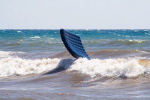 Quando uma “amona" pode dar pena de prisão