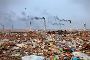 França aprova criação do delito de &quot;ecocídio&quot;