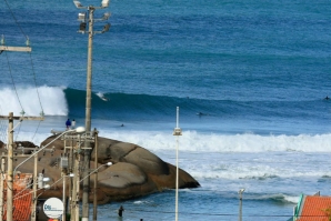 WQS DE 6 * SANTA CATARINA PRO ESTÁ ON