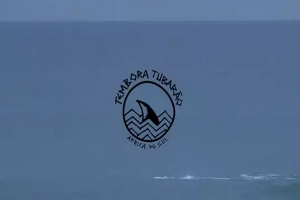 &quot;Tembora Tubarão&quot;