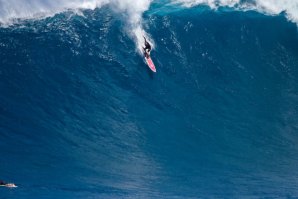 Jaws dá as boas vindas Billy Kemper