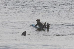 SURFISTA AMERICANO ESCAPA A UM ATAQUE DE TUBARÃO