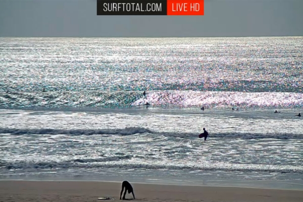 Mais qualidade e fiabilidade na nova transmissão.