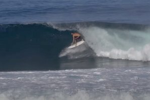 Tubaço de Frederico Morais em Backdoor revela que está 100% apto a competir