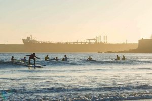 Um crime ambiental pode estar prestes a ter lugar em Matosinhos.