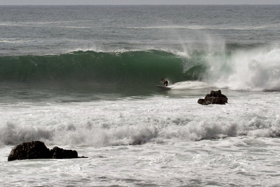 Canguru acordou com dois metros: uma sexta-feira de surf pela lente de Pedro “Pikas” Pimenta