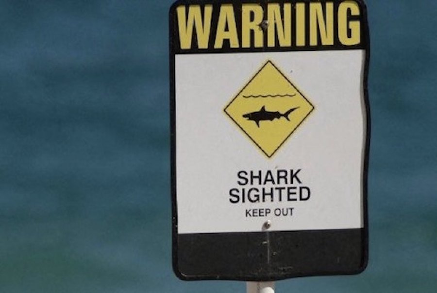 Ataque de tubarão na Austrália tira a vida a surfista de 59 anos