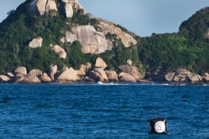 Barra da Tijuca