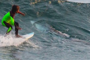 GROM DE 10 ANOS SURFA POR CIMA DE UM TUBARÃO-BRANCO