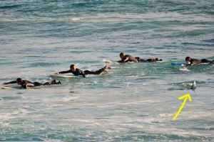 Uma das imagens que levou ao alerta.