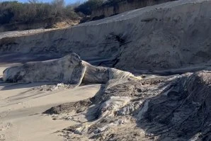 A baleia acabou desenterrada devido à subida do nível do mar durante estes últimos dias