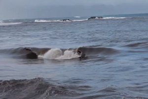 Nathan Florence surfa tubos castanhos no Rio Waimea