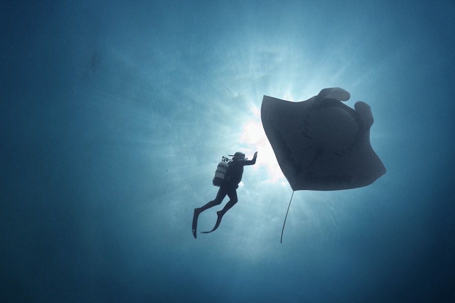 European Outdoor Film Tour e International Ocean Film Tour chegam a Lisboa em julho