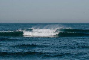 Fotos: Allianz Figueira Pro (Créditos: Jorge Matreno/ANSurfistas)  