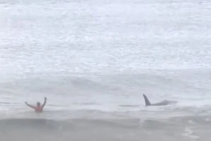 Imagem frame do vídeo em que um grupo de orcas aparece no meio de surfistas na Noruega