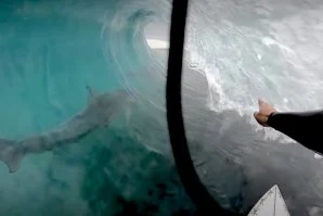 Momento da partilha do tubo - Frame do vídeo de Tyler Carrol