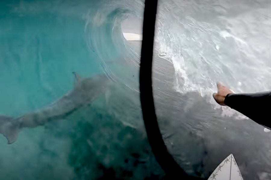 Momento da partilha do tubo - Frame do vídeo de Tyler Carrol