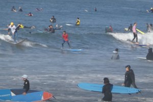 Um Halloween com muita diversão e muito crowd em Pacific Beach, na Califórnia