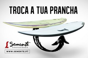 Imagem Semente Surfboards