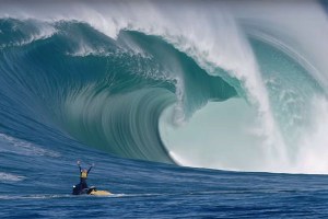 AUSTRÁLIA COMO TE AMO