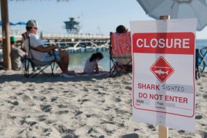 Praia de San Clemente encerradas após avistamento de tubarões. 