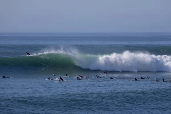 Ondulação rara de sul acorda Malibu em pleno mês de março