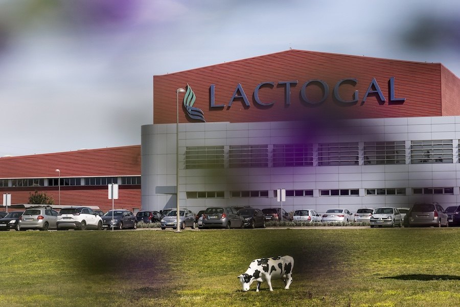Fábrica da Lactogal na freguesia de Modivas, em Vila do Conde, distrito do Porto LUSA/JOSÉ COELHO
