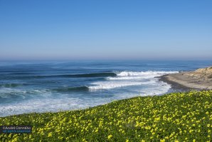 Energia primaveril na baía do surf mais famosa de Portugal continental