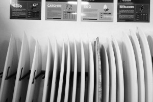 SEMENTE COM STOCK DE VERÃO JÁ DISPONÍVEL