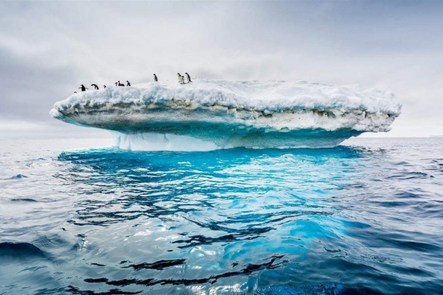 National Geographic reconhece um quinto oceano