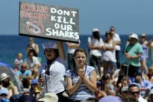 PROTESTOS NA AUSTRÁLIA CONTRA MATANÇA DE TUBARÕES