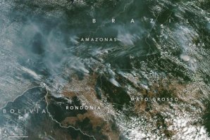 Imagens de satélites da NASA mostram a dimensão dos incêndios na Amazónia