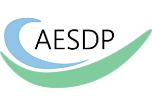 O crescimento das escolas de surf em análise com a AESDP