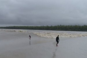 &quot;PATO&quot; LEVITA NAS ONDAS DE POROROCA