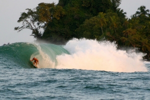 Kelly encontrou tubos pesados em Silverbacks