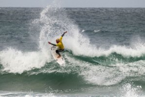 Vasco Ribeiro