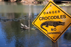 Crocodilo ataca surfista na Costa Rica