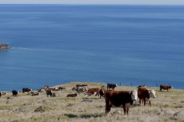 Ruapuke continua a salvar os freesurfers enquanto o CT espera por melhores condições na Nova Zelândia