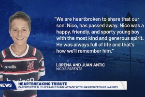 Faleceu Nico Antic, criança de 12 anos não resistiu aos ferimentos após ataque de tubarão